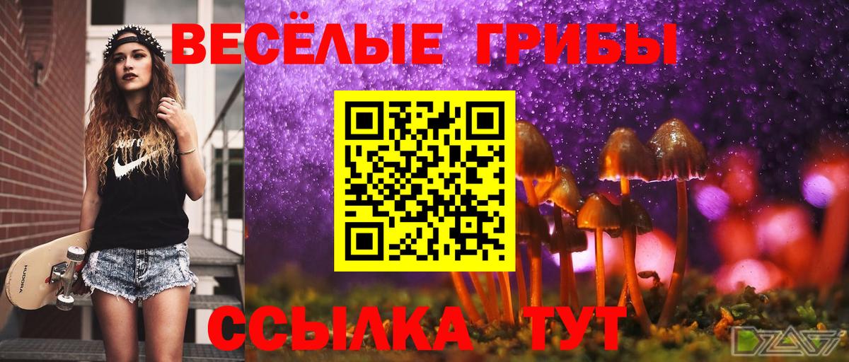 Галлюциногенные грибы Psilocybe  Галлюциногенные грибы Psilocybe  купить наркоту  Семёнов  Вход с VPN 